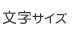 文字サイズ