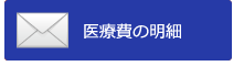 医療費の明細